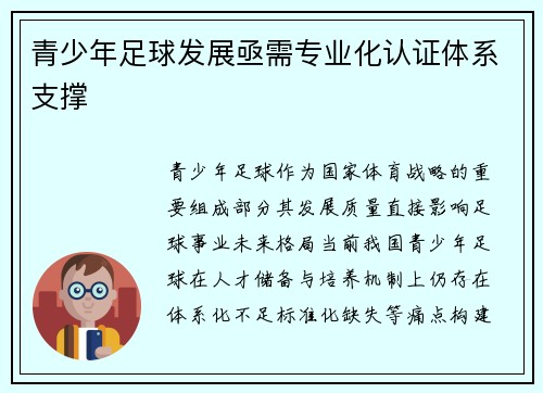 青少年足球发展亟需专业化认证体系支撑